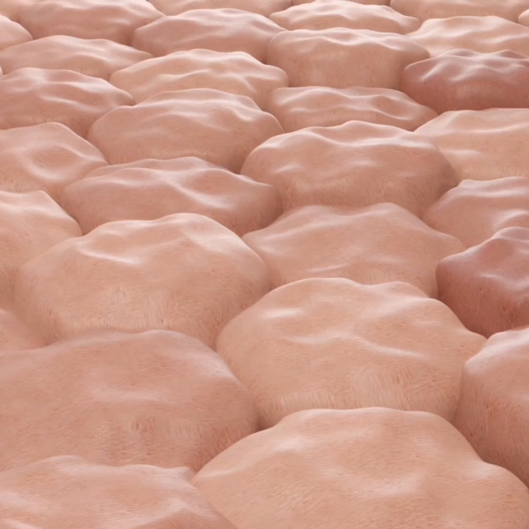 Por qué el Aceite de Colágeno Wakny Funciona Cuando las Cremas No